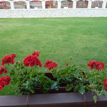 H Dzhogolanov Koprivştitsa