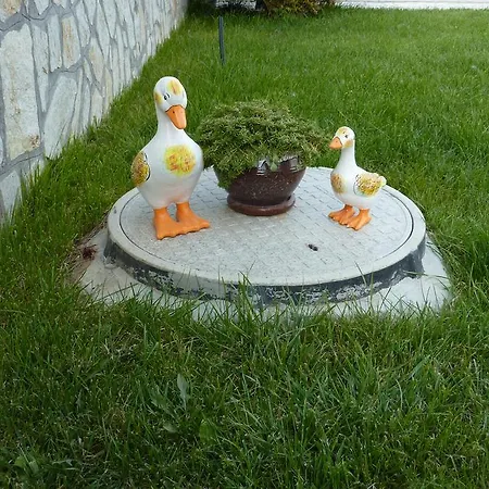 Konukevi H Dzhogolanov