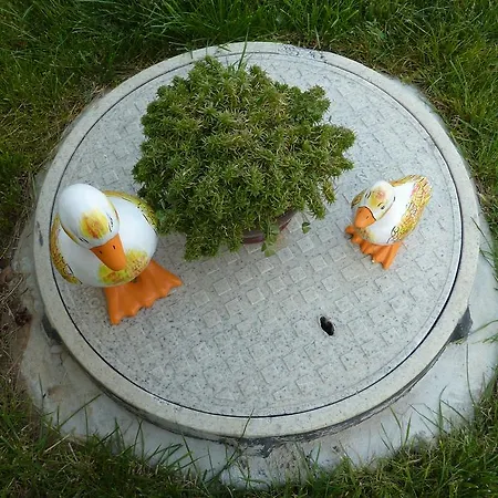 Gæstehus H Dzhogolanov