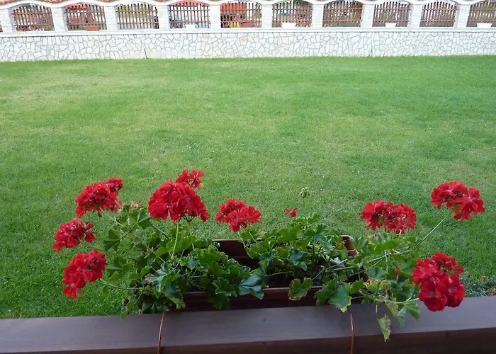 H Dzhogolanov Koprivştitsa