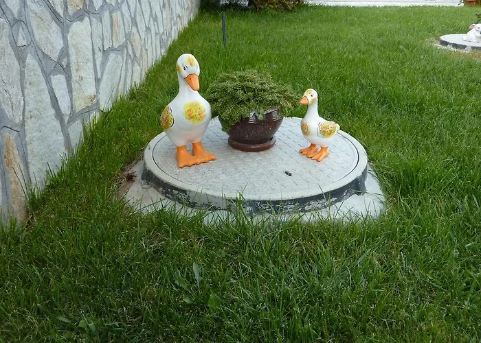 Konukevi H Dzhogolanov